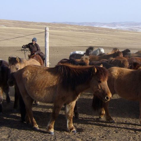terre-d-echanges-voyage-equitable-en-mongolie