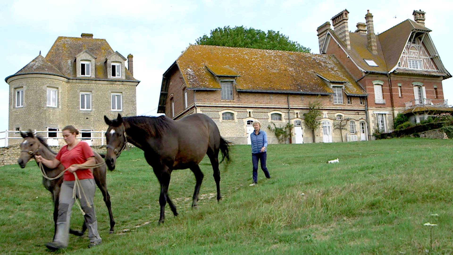Aliette, l'excellence Française / Nos films / TGA Production