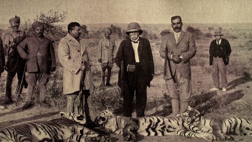Les chasses du Tigre