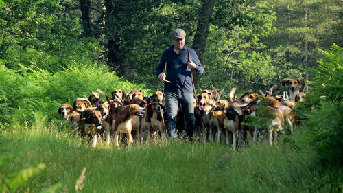 DANS LA TETE D'UNE MEUTE