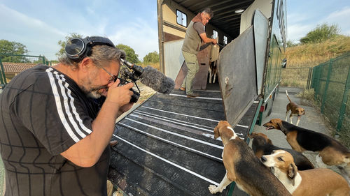 DANS LA TETE D'UNE MEUTE