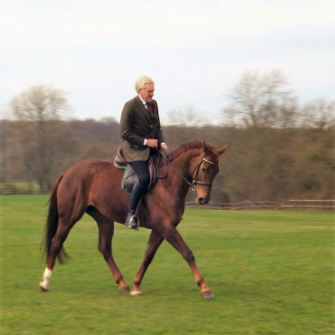 chevaux-de-batailles-une-epopee-normande