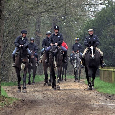 les-beauregard-un-heritage-equestre