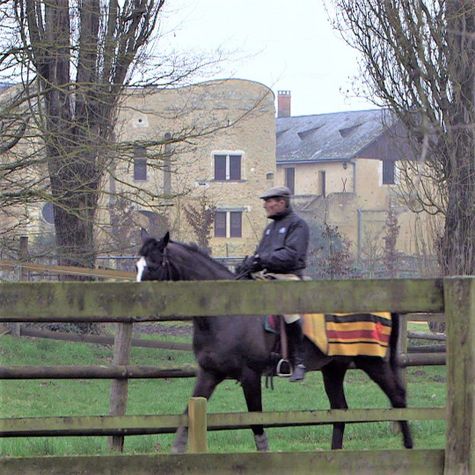 les-beauregard-un-heritage-equestre