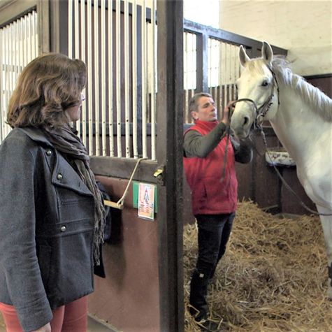 les-beauregard-un-heritage-equestre