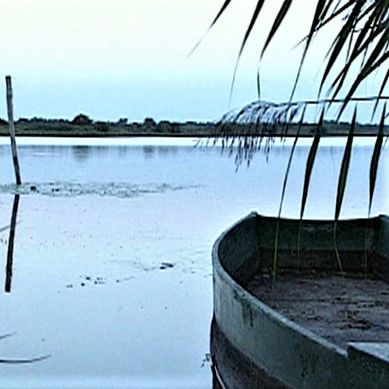 scenes-de-peche-en-brenne