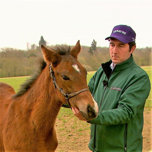 Jockey club, les clés d’un rêve