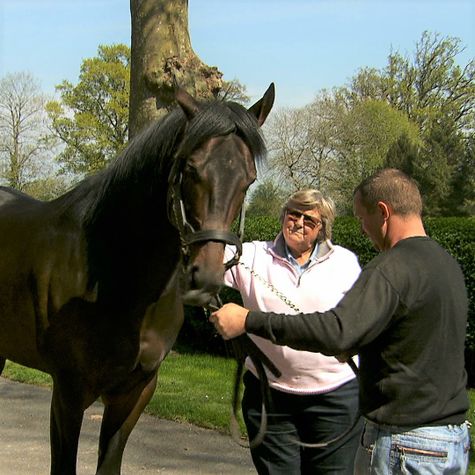 jockey-club-les-cles-d-un-reve