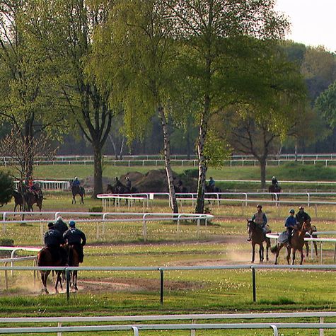 jockey-club-les-cles-d-un-reve