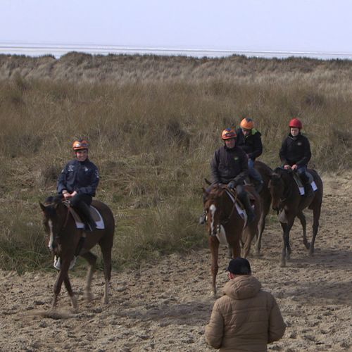 L’ascension des dunes