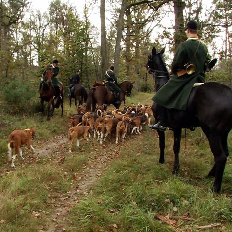 forets-royales-fontainebleau-rambouillet