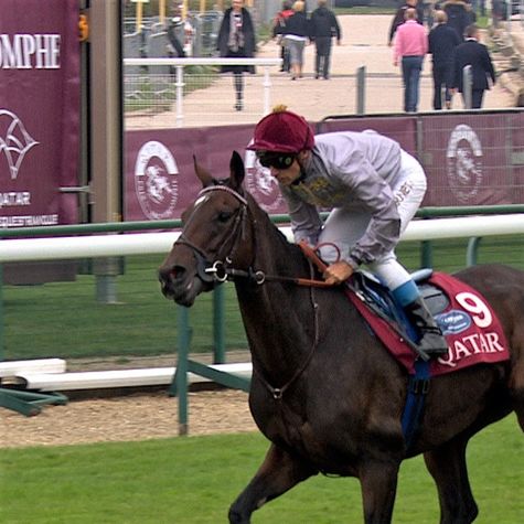 treve-forever