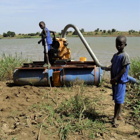 mali-les-paysans-veillent-au-grain