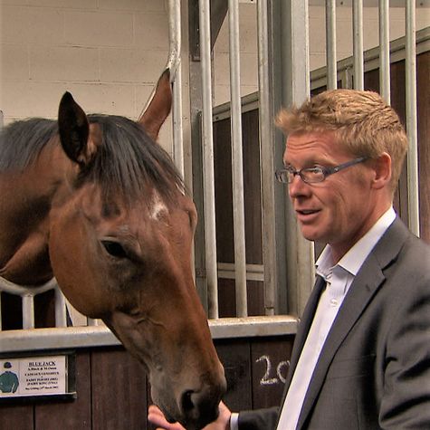 manor-house-stables-la-poursuite-de-lexcellence