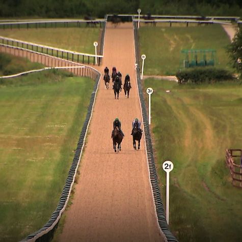 manor-house-stables-la-poursuite-de-lexcellence