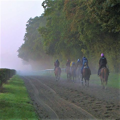 treve-monumentale