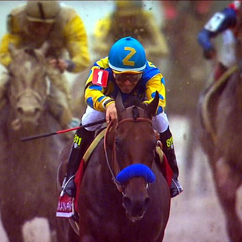 American Pharoah, <br>le grand Chelem