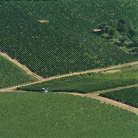 saga-terrienne-en-sancerrois