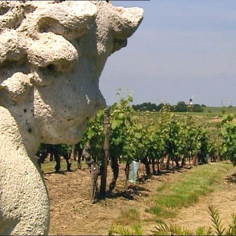 le-sang-de-la-vigne