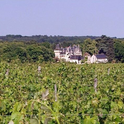 le-sang-de-la-vigne