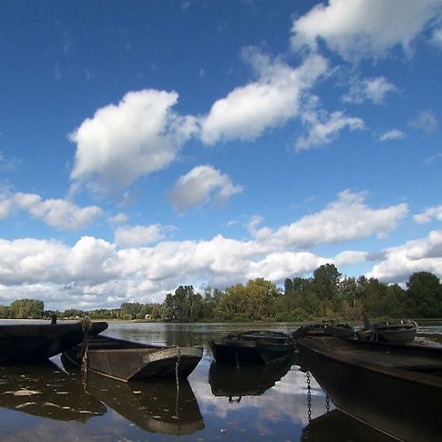 Le combat du fleuve sauvage