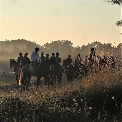 La relève du sud-ouest