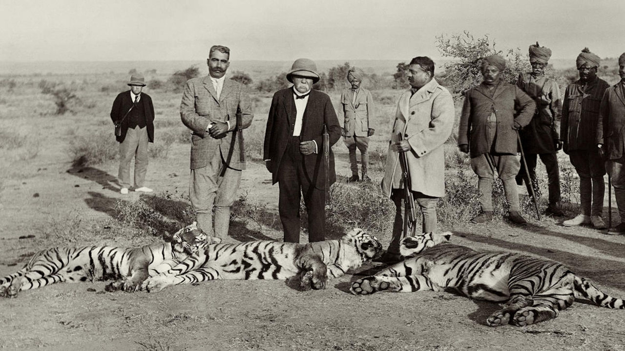 les-chasses-du-tigre-fiche