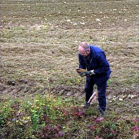 verdun-l-heritage-de-la-douleur